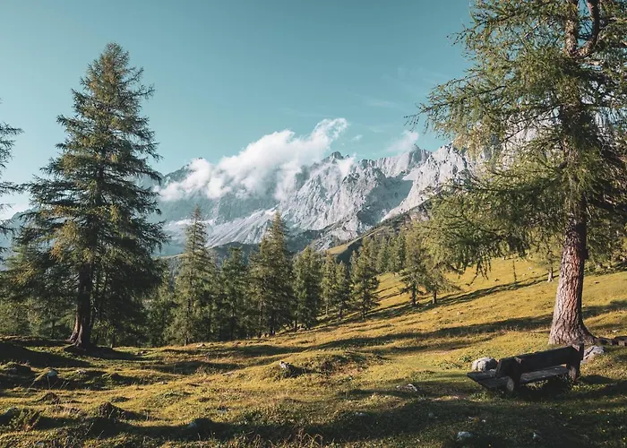 Bio Feistererhof - Charmant Naturlich Seit 1448 Ramsau am Dachstein