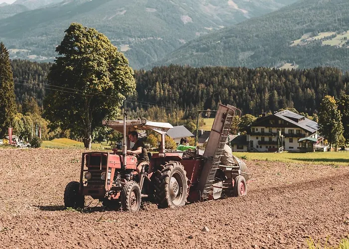 Hotel Bio Feistererhof - Charmant Naturlich Seit 1448 Ramsau am Dachstein